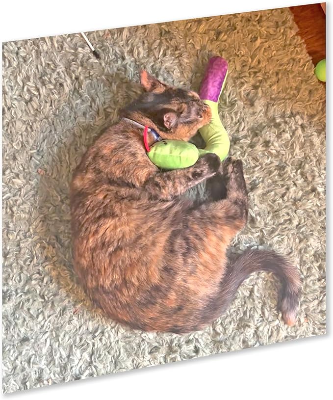 ZOOMIE Snake Kicker - Refillable Catnip Toy + Catnip | High Potency Hand Harvested Fresh | Soft Plush for Engaging Play-Mewly Pet