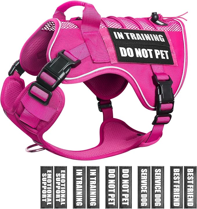 WINSEE Service Dog in Training Mesh Harness with 10 Pet Patches, Soft Air Mesh Breathable Tactical Dog Molle Vest, Reflective Military Pet Vest for Walking Hiking for Medium Dogs-Mewly Pet