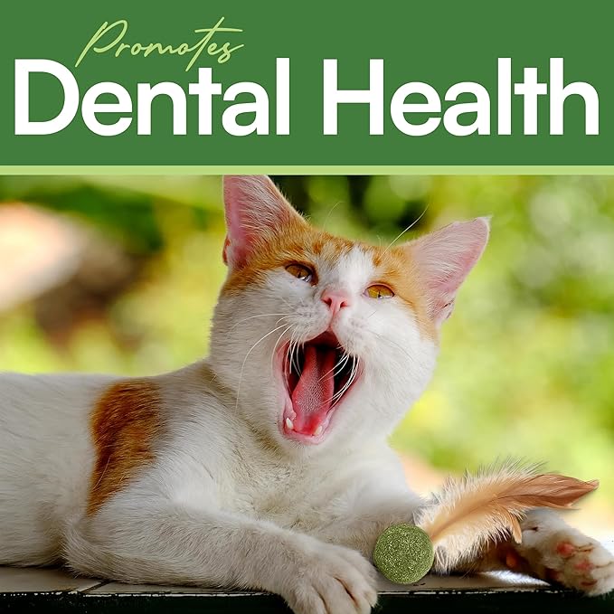 3 Pcs Catnip Balls with Feathers – Natural Catnip Toy for Play, Stress Relief & Healthy Enrichment Interactive Cat Toys Perfect for Indoor Cats & Kittens, Encourages Active Play & Wellness-Mewly Pet