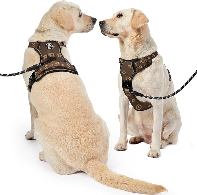 NESTROAD No Pull Dog Harness,Adjustable Oxford Dog Vest Harness with Leash,Reflective No-Choke Pet Harness with Easy Control Soft Handle for Small Dogs(Small,Dark Brown)-Mewly Pet