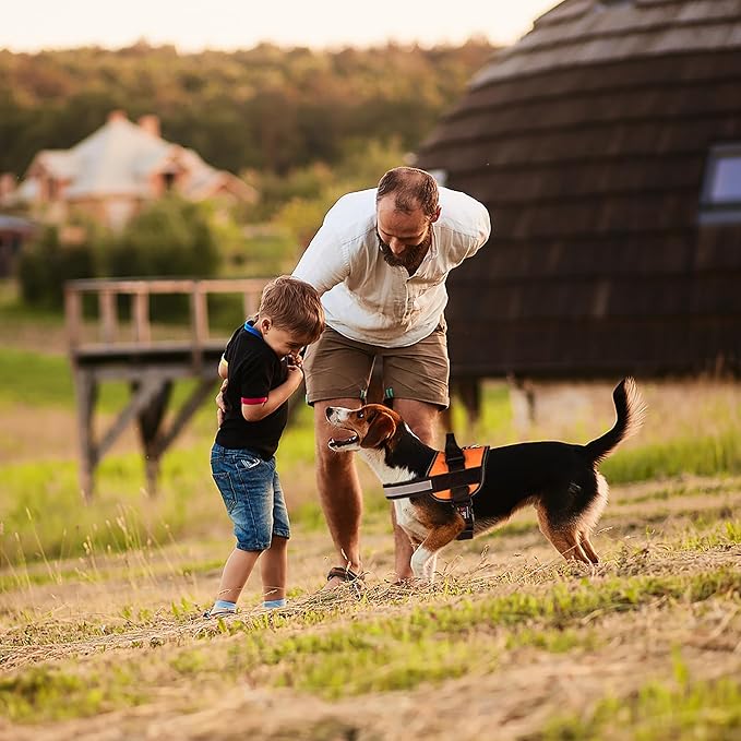 Dogline Dog Harness, Reflective No-Pull Adjustable Vest with Handle for Walking, Training, Breathable, No - Choke Harness for Small, Medium or Large Dogs Room for Patches Girth 27 to 34 in Orange-Mewly Pet