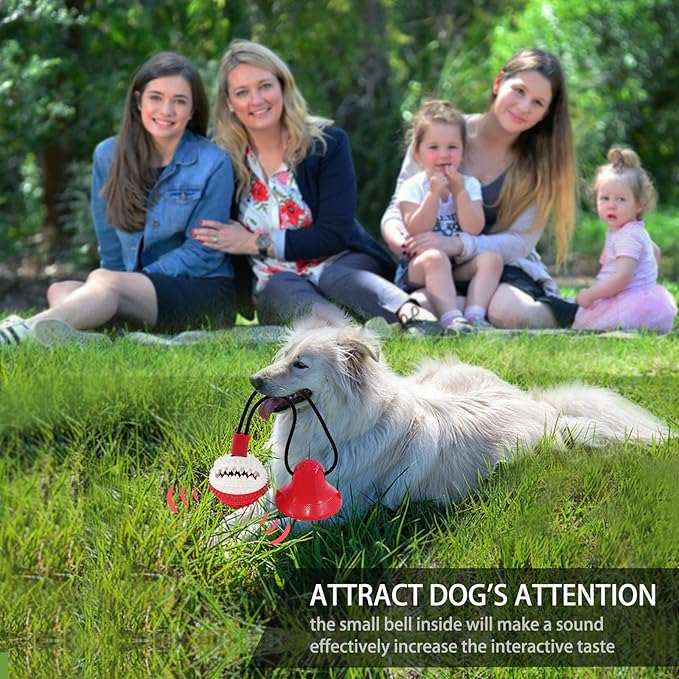 Dog Toys, Dog Chew Toys for Aggressive chewers,Rope with Suction Cup for Puppy Training Treats Teething for Boredom, Small Dog Puzzle Toy Treat Food Dispensing Ball (red)-Mewly Pet