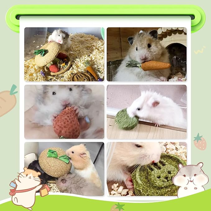 10 PCS Guinea Pig Chew Toys for Teeth, Rabbit Chew Toys Contain Natural Timothy Apple Core, Grass Cake, Carrot and Strawberry;Hamster toys for Bunny Chinchilla Gerbil Dental Care & Treat Teething-Mewly Pet