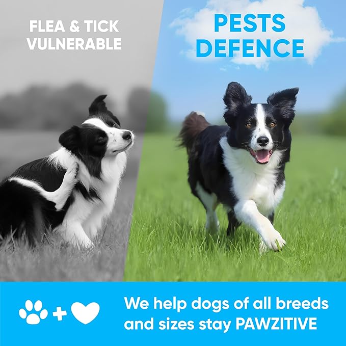 Chewable Flea and Tick Prevention for Dogs - 120 Soft Chews Made in USA - Oral Flea and Tick Control Pills for Small, Medium, Large Dogs and Puppies - Skin and Coat Supplement Treats for All Breeds-Mewly Pet
