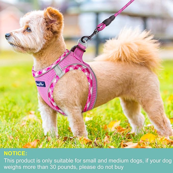 haapaw Dog Harness with Leash Set, No Pull Adjustable Reflective Step-in Puppy Harness with Thickened Padded Vest for Extra-Small/Small Medium Dogs-Mewly Pet