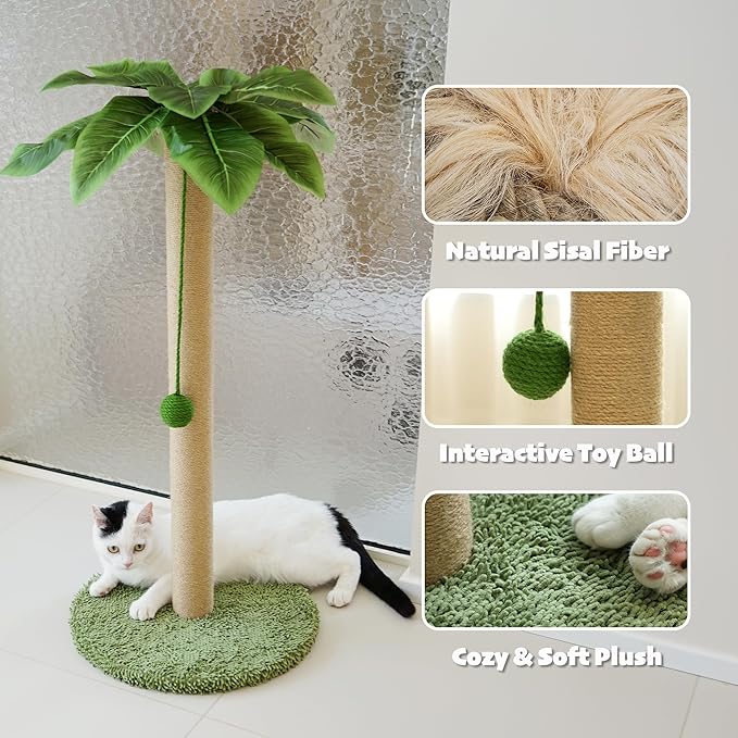 PETKARAY Cat Scratching Post, 36" Tall Palm Tree Cat Scratching Post, Sisal Cat Scratcher with Toy Ball for Indoor Kittens, Large Size-Mewly Pet