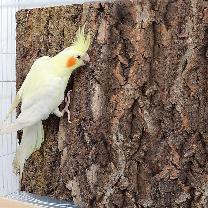 4 Pack Cork Bark Perch for Bird, 11.8 × 7.9 inch Natural Parrot Chewing Toys, Birdcage Background Decor Accessories, Bark Toy for Budgie Parakeet Cockatiel Lovebirds Conures Hamster Guinea Pig Rat-Mewly Pet