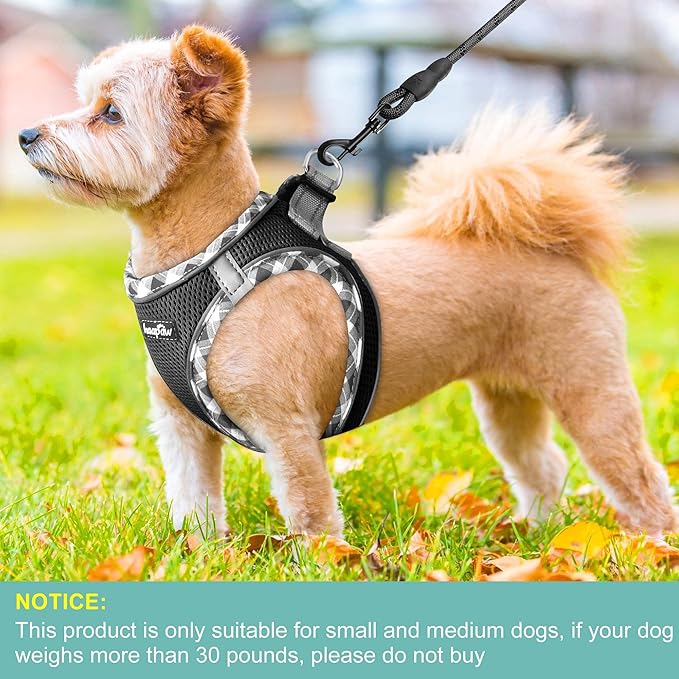 haapaw Dog Harness with Leash Set, No Pull Adjustable Reflective Step-in Puppy Harness with Thickened Padded Vest for Extra-Small/Small Medium Dogs-Mewly Pet