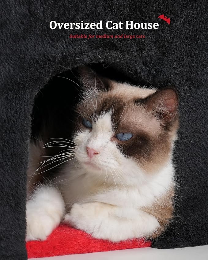 Gothic Cat Condo Cave for Indoor Cats, Spacious Indoor Coffin Cat House Bed,Large 20x13.5inch Bunk Perch, Stable Cubbie for Pets Rabbits, Halloween Red Black-Mewly Pet