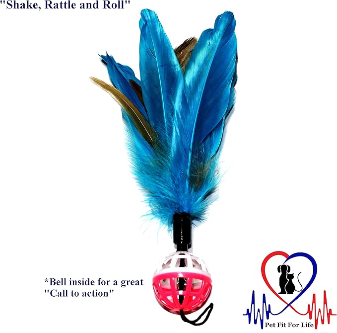 Pet Fit For Life 4 Piece Dual Rod Feather Teaser and Exerciser for Kitten and Cats - Cat Toy Interactive Cat Wand-Mewly Pet