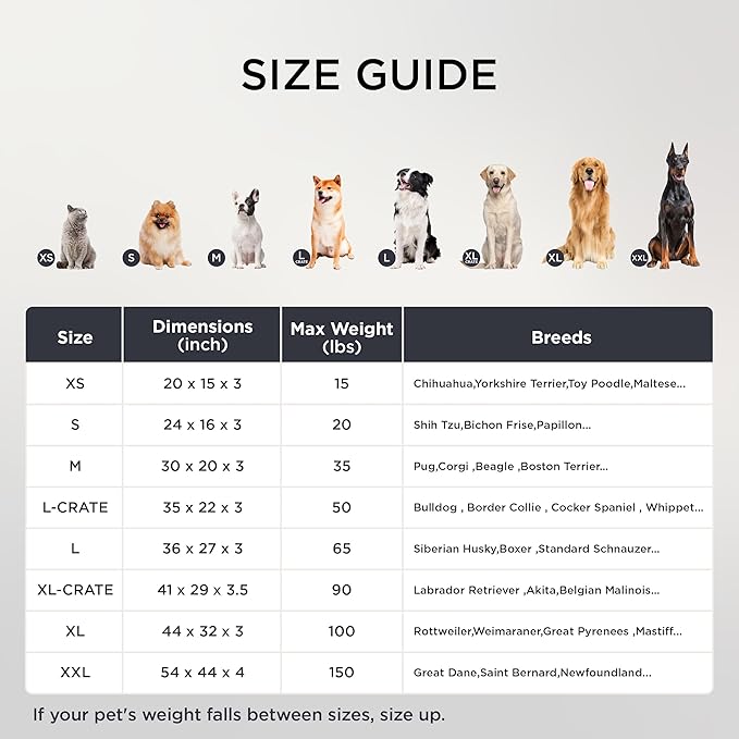 Bedsure XL Dog Beds Large Sized Dog -Orthopedic Flat Extra Large Pet Beds with Removable Washable Cover, Egg Crate Foam Mat, Suitable for Pet Up to 100 lbs-Mewly Pet