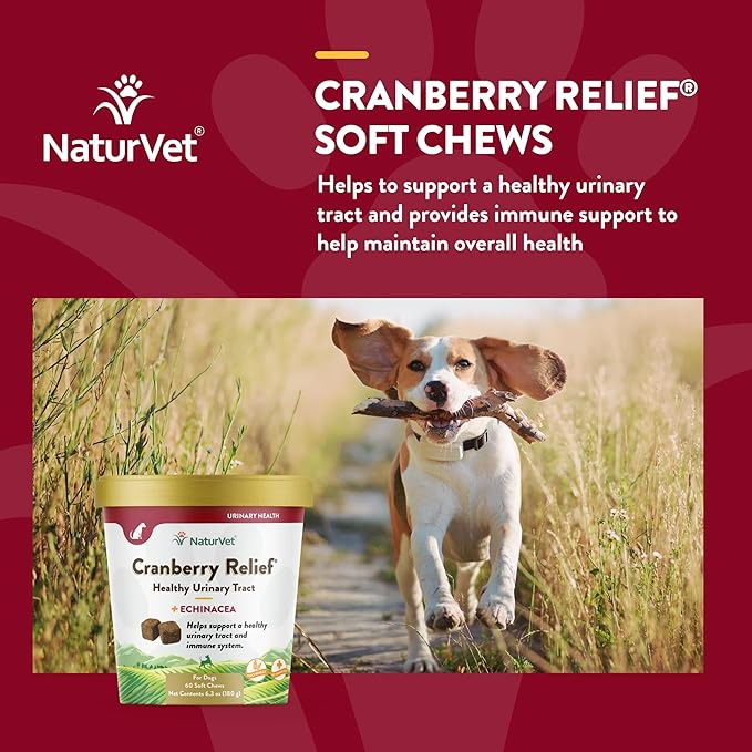 NaturVet – Cranberry Relief Plus Echinacea – Helps Support a Healthy Urinary Tract & Immune System – 60 Soft Chews-Mewly Pet