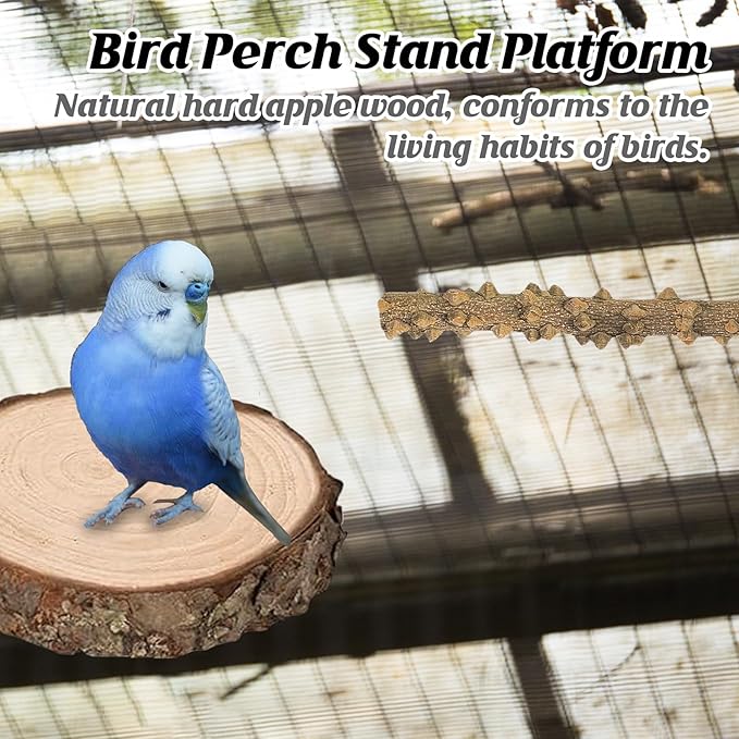 6Pcs Natural Wooden Bird Perch Grape Stick Claw Grinding Fork Bird Perching Branch Claw Grinding Stick Parrot Standing Platform Parrot Cage Chewing Accessories for Parrots Lovebirds Parakeets-Mewly Pet