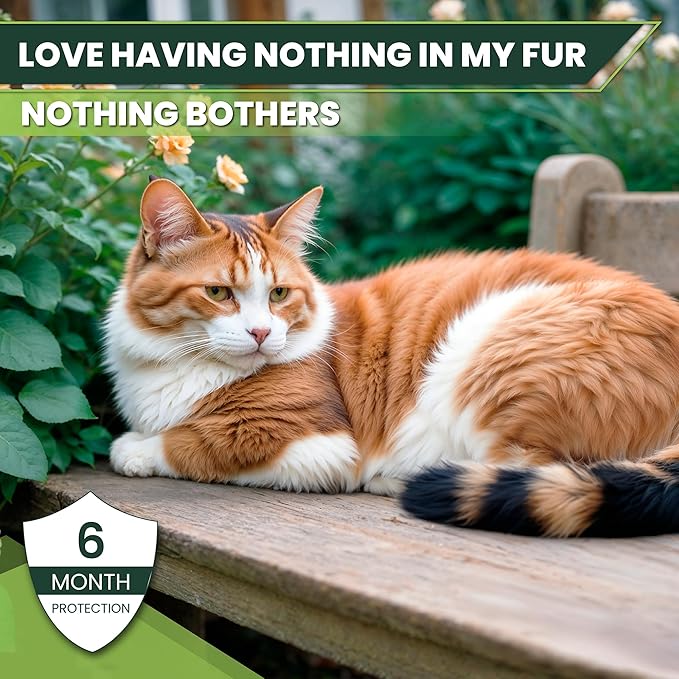 Flea and Tick Prevention for Cats: Flea & Tick Topical for Cats Over 1.5lbs, 6 Dose Flea and Tick Control/Prevention for 6 Months (6 Pack)-Mewly Pet