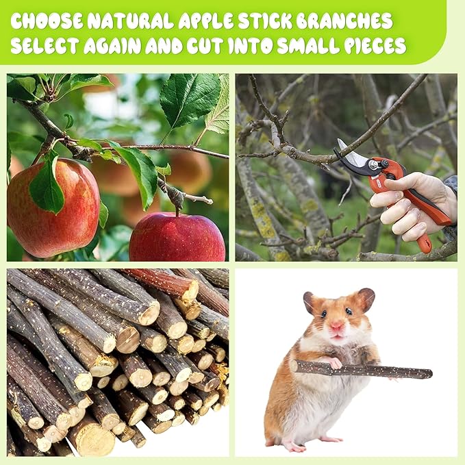 600g Small Apple Sticks Animals Molar Wood Treats Toys for Rabbits Chinchillas Guinea Pig Hamster Gerbil Parrot Bunny Chew Stick Toys Treats, 21.2 OZ-Mewly Pet