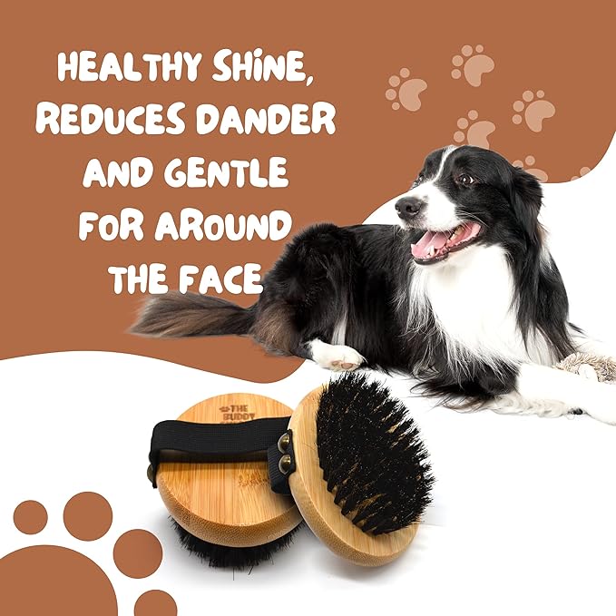 The Buddy System Pet Close Brush, Soft Touch Oval Palm Brush - Bamboo Massage Handheld with Soft Boar Bristles and Elastic Band for Dogs and Cats 2 Pack-Mewly Pet