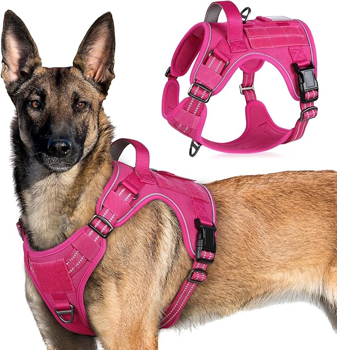 rabbitgoo Tactical Dog Harness for Large Dogs, No Pull Military Service Vest with Handle & Molle, Easy Control for Training Walking, Adjustable Reflective Straps, Rose Red, XL-Mewly Pet