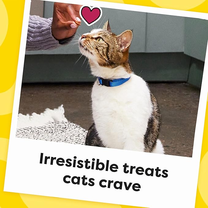 Temptations Classic Crunchy and Soft Cat Treats, Savory Salmon Flavor, 30 oz. Tub-Mewly Pet