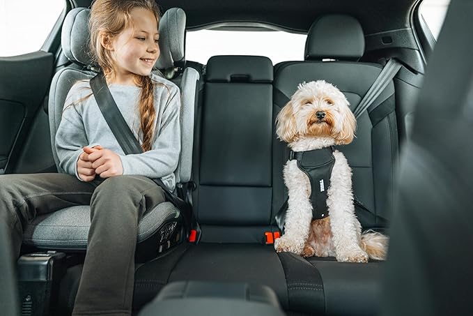 Thule Cappy Dog Harness S - Crash-Tested for Safety - Seatbelt passthrough - Adjustable & Easy to Clean - Padded Breathable mesh Panels - Leash Loop - Step-in Design-Mewly Pet