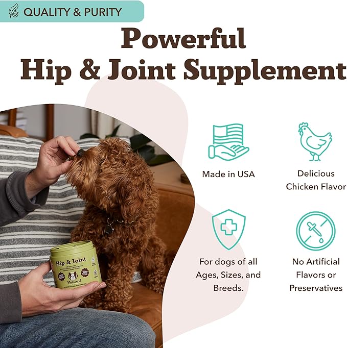 Natural Dog Company Hip & Joint Chews, Chicken Liver & Turmeric Flavor, with Glucosamine Chondroitin for Dogs, Maintains Bone and Joint Health, Supplements for Seniors and Puppies, 90 Count-Mewly Pet