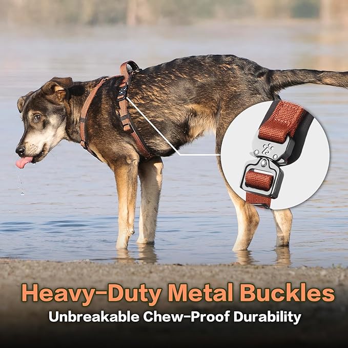 CLEPAWS Dog Harness for Small Dogs, No Pull Dog Harness Easy Walk with Metal Hardware, Ergonomic Y-Shaped Design, Soft Padding, Padded Handle, Durable High-Tensile Nylon (Canyon Red, S)-Mewly Pet