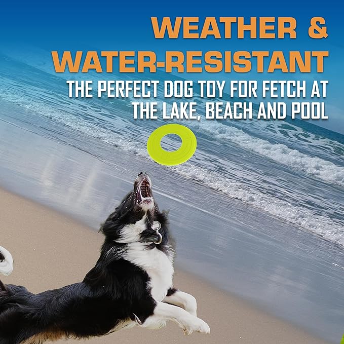 Nerf Dog Atomic Flyer Outdoor Dog Toy, 10 Inch Flying Disc Dog Fetch Toy, Rubber Dog Toy for Medium Dogs and Large Dogs, Green-Mewly Pet