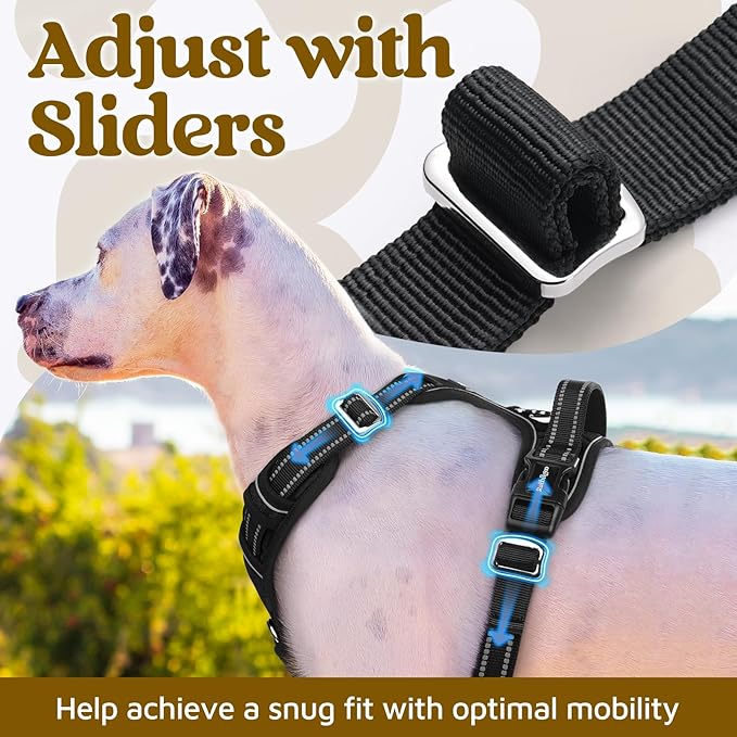 rabbitgoo Dog Harness Small Sized, No Pull Dog Vest with 3 Buckles, Adjustable Soft Padded Pet Harness with Easy Control Handle and Reflective Strips, Black, S-Mewly Pet