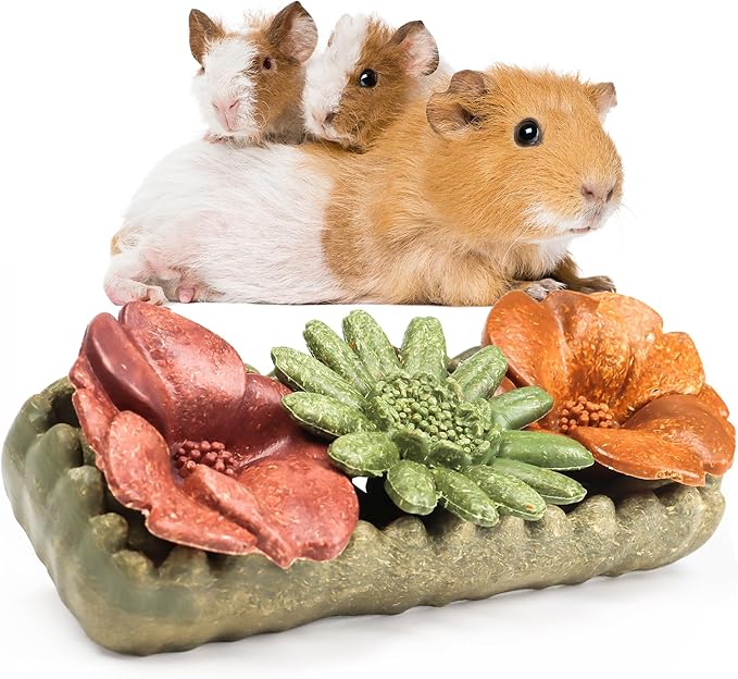 TEEWY 4PCS Guinea Pig Chew Toys, Prevent Teeth Overgrowth, Natural Vegetables and Timothy Grass, Hamster Chew Toys, Guinea Pig Toys, Chinchilla Toys, Grass Patch & Flowers-Mewly Pet