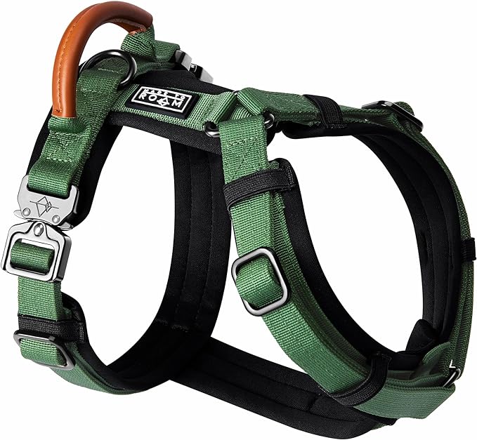 MADE TO ROAM Premium Explorer Harness - Y-Shaped Dog Harness with Adjustable Durable Nylon, Soft Padding, Metal Buckles and Leather Handle for Small, Medium, Large Dogs (Oregon Haze, Size 4)-Mewly Pet