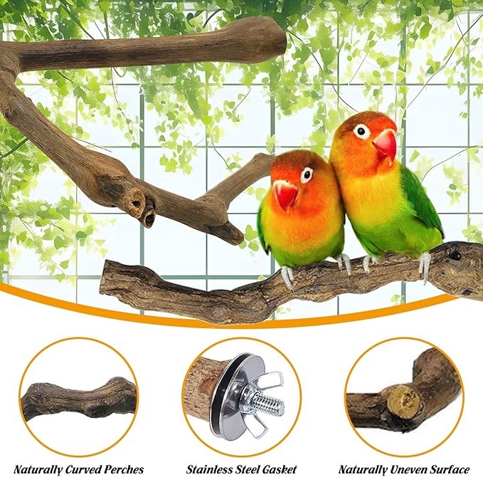 kathson 3pcs Natural Parrot Perch for Cage Wooden Bird Perches Grape Bird Stick Parakeet Climbing Standing Branches Toy Chewable Cage Accessories for Small Budgies Cockatiels Lovebirds Budgies-Mewly Pet