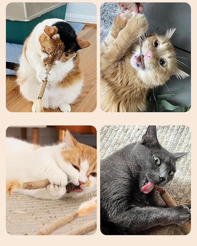 Tocirelo Catnip Toys Silvervine Sticks - 12Pack Natural Cat Chew Toys for Bored Indoor Cats Teeth Cleaning, Matatabi Sticks Treats with Feather and Bell, Kitten Teething Calming Products-Mewly Pet