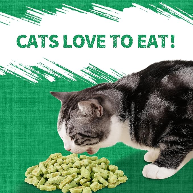 Just Try 13.4 OZ Crunchy Cat Treats Catnip Treats for Cats with Digestive Support, Natural Ingredients Kitten Treats with Real Salmon, Healthy Feline Snacks Training Biscuits Dental Care-Mewly Pet