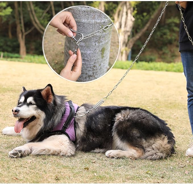 25ft Heavy Duty Chew Proof Dog Tie Out Chain Leash with Shock Absorbing Spring&Lockable Hooks-Up to 200Lbs,Use for Yard,Garden,Camping or Travel-Mewly Pet