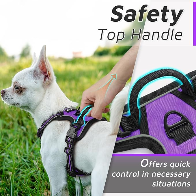 Eagloo Small Dog Harness No Pull, Service Vest with Reflective Strips and Control Handle, Adjustable and Comfortable for Easy Walking, No Choke Pet Harness with 2 Metal Rings, Purple, XS-Mewly Pet