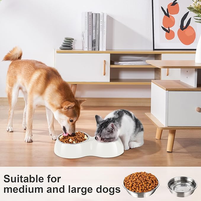 Elevated Dog Bowls Set - Non-Slip Raised Pet Feeder with Medium (10 oz) & Large (20 oz) Stainless Steel Bowls - Includes Durable Resin Stand for Puppies, Adult Dogs & Cats - White-Mewly Pet