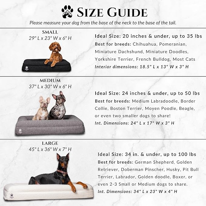 Luxury Boucle Fabric Orthopedic Large Dog Bed with Memory Foam | Breathable Comfort and Washable Dog Couch Bed with Waterproof Liner & Cover | Ideal Pet Beds for Big Dogs - Bone (45"x36x7)-Mewly Pet