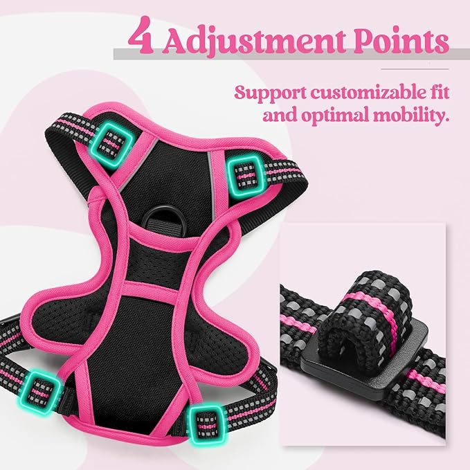 rabbitgoo Dog Harness No Pull with 2 Leash Clips, Adjustable Soft Padded, Reflective Oxford No Choke Pet Vest with Easy Control Handle for Large Dogs, Black & Hot Pink, XS-Mewly Pet