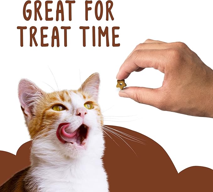 Purina Friskies Party Mix Cat Treats (Wild West Crunch, 2.1 Ounce (Pack of 6))-Mewly Pet