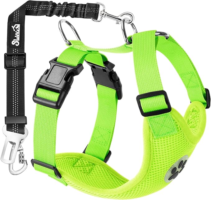 SlowTon Dog Seat Belt Harness for Car, Dog Car Harness Adjustable Mesh Breathable & Dog Seatbelt Safety Tether with Elastic Bungee for Small Medium Large Pets(Lime, Double Clip, S)-Mewly Pet