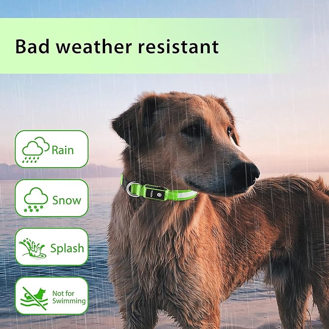 PcEoTllar Light up Dog Collar for Night Walking - LED Dog Collar Light Rechargeable Color Changing, Glow in The Dark Dog Collars Waterproof Glowing Dog Collars for Large Small Medium Dogs-Mewly Pet
