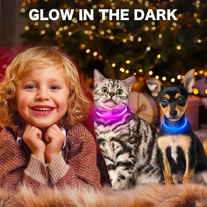 BSEEN Light Up Dog Collar, High Visibility LED Dog Collar Rechargeable- Rainproof TPU Cuttable Glowing Pet Collar for Small Dogs & Cats - Puppy Safety Lights for Night Walking (XS- Blue 40cm)-Mewly Pet