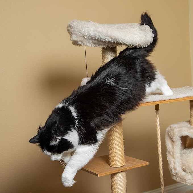 InClover Connectin Natural Hip & Joint Supplement for Dogs with Glucosamine, Chondroitin & Hyaluronic Acid - Powder for Dog Mobility, Comfort & Active Lifestyle Support, 3.oz-Mewly Pet