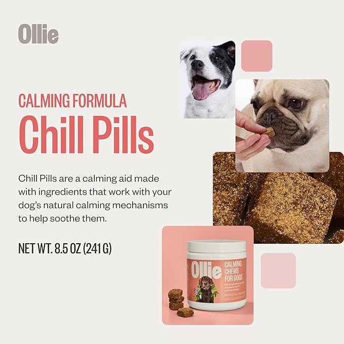 Ollie Chill Pills Calming Supplement Chews for Dogs, Anxiety Relief for Dogs, Melatonin for Stress Relief, 60 Count Appx.-Mewly Pet