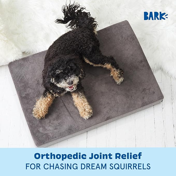 Barkbox Orthopedic Dog Bed with Memory Foam, Premium Comfort for Dogs and Puppies, Dog Beds for Joint Relief and Restful Sleep, Durable and Easy to Clean - Grey, Medium-Mewly Pet