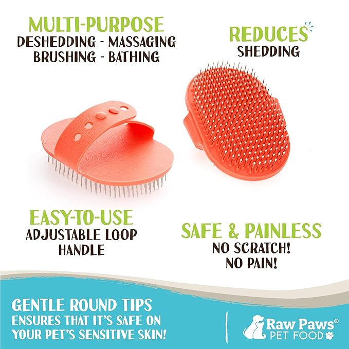 Raw Paws Grooming Brush, 1 ct - Hand-Held Rubber Tipped Pin Brush for Dogs & Cats - Deshedding Dogs with Short Hair & Long Hair - Dog Grooming-Mewly Pet