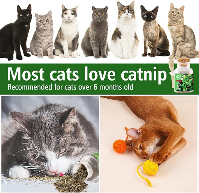 Natural Catnip for Cats,1.05 oz Cat Premium Organic Catnip,Safe & Non-Addictive Catnip Treats Used to Supplement Catnip Toys,Great for Training Redirecting Bad Behaviors-Mewly Pet