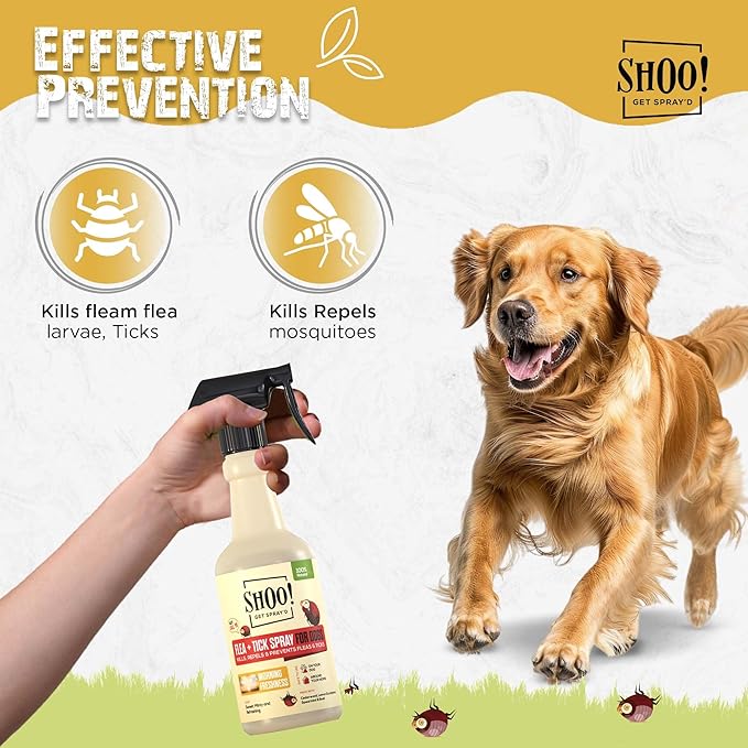 Shoo! Flea & Tick Spray for Dogs and Home | Plant Based, Natural Oils, Chemical Free Formula | Kills, Repels, Prevents | 16 oz (Morning Freshness)-Mewly Pet