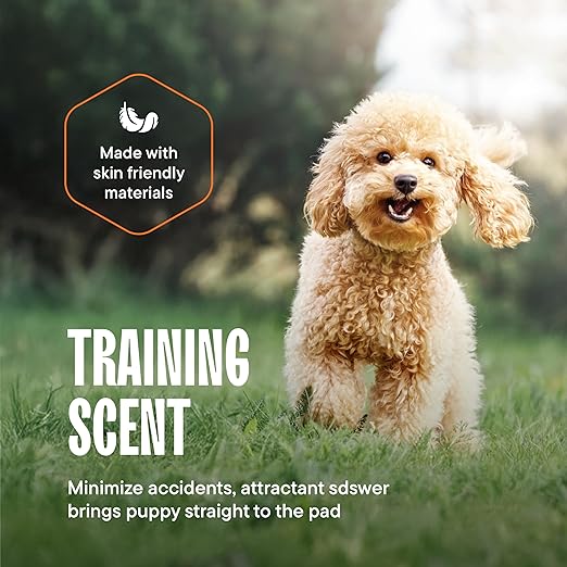 Puppy Pads Pet Pee Pads for Dogs & Puppy Training - 100 Count - Potty Pads for Dogs 22" x 22" Leak-Proof Dog Pee Pads - Quick-Dry Surface - Heavy Duty Absorbent Disposable Dog Wee Pad Bulk Pack-Mewly Pet