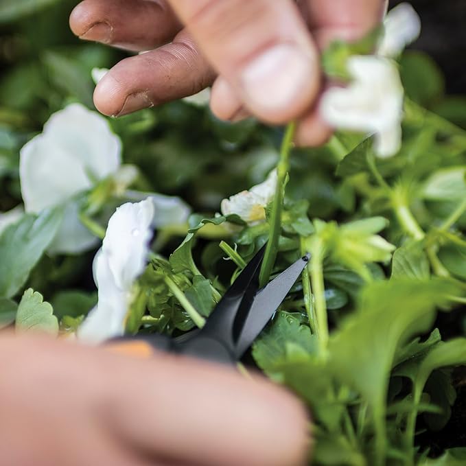 Fiskars 6" Pruning Scissors (2-Pack) for Flowers, Buds, Weeds and Small Plants, Garden Snips with Resin Resistant Nonstick Stainless Steel Blades, Gardening Trimmers with Comfortable Handle-Mewly Pet