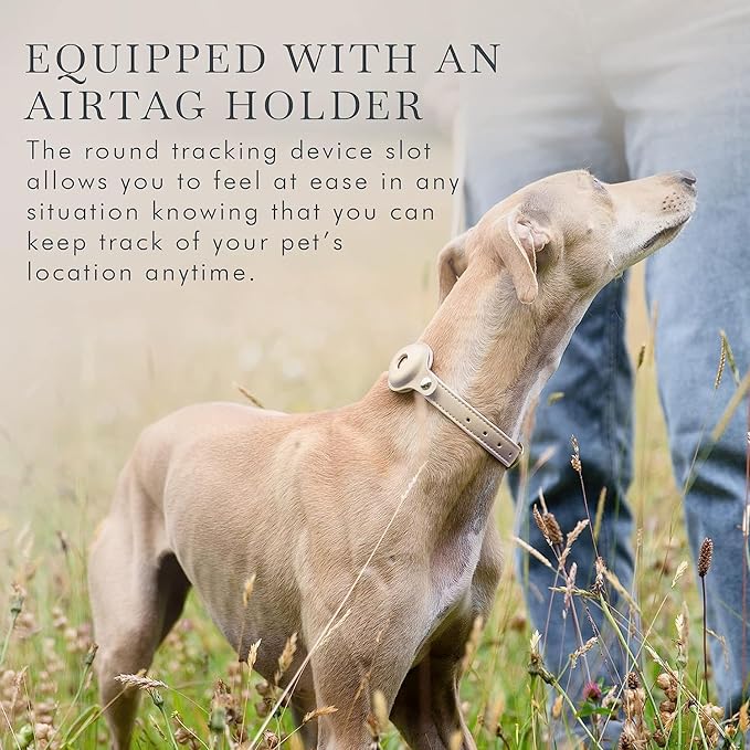 Cupertino Dog Collars, Harnesses & Leashes Made from Vegan Leather with Dog Tracker Device Holder Adjustable Dog Collar (Medium, Beige)-Mewly Pet